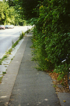 Durch den Dschungel neben der Heinrich-Plett-Straße im August 1999, 2. Akt