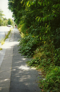 Durch den Dschungel neben der Heinrich-Plett-Straße im August 1999, 3. Akt